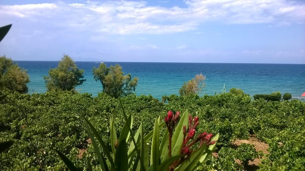 Villa Antonis Deluxe Apartments Амуди Экстерьер фото